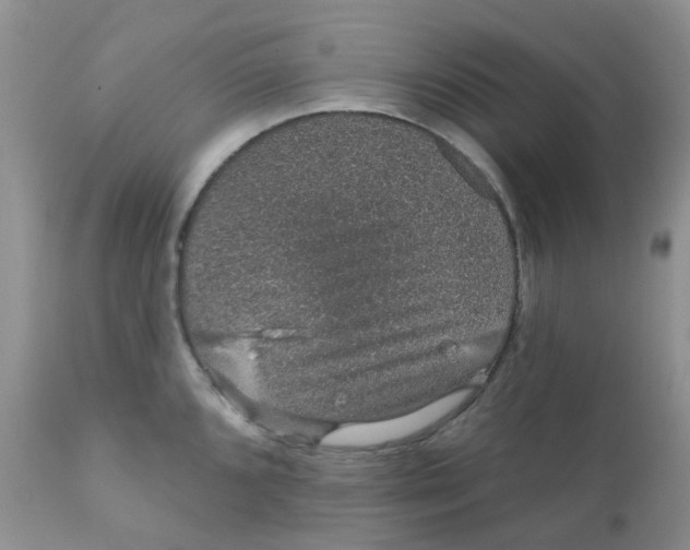 X0000111931096200908241110