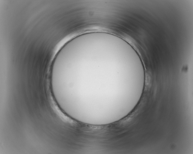 X0000111931098200908241110