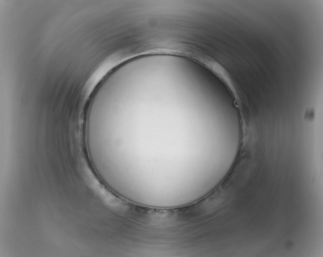 X0000111931099200908241110