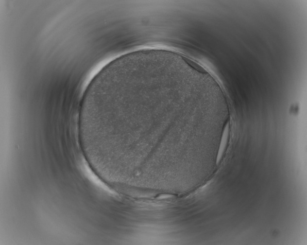 X0000111931100200908241110