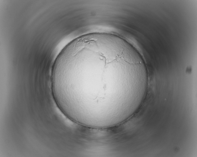 X0000111931103200908241109