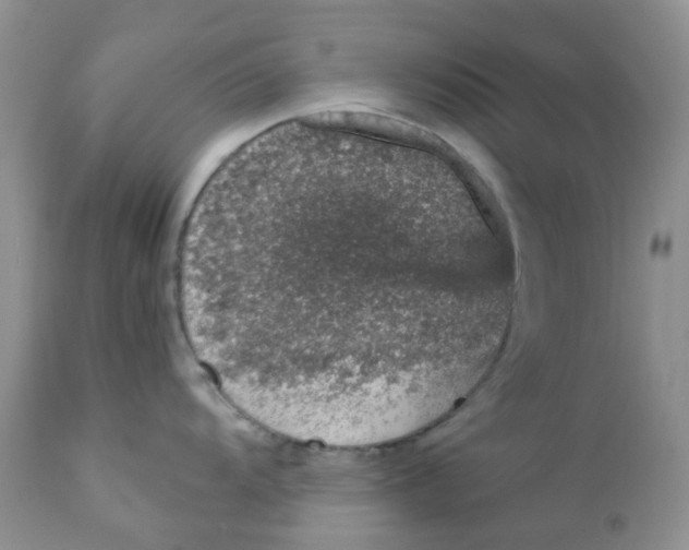 X0000111931104200908241109