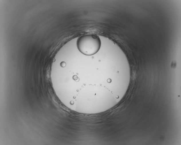 X0000111931106200908241109