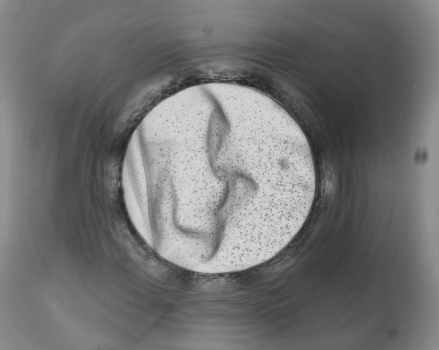 X0000111931108200908241109