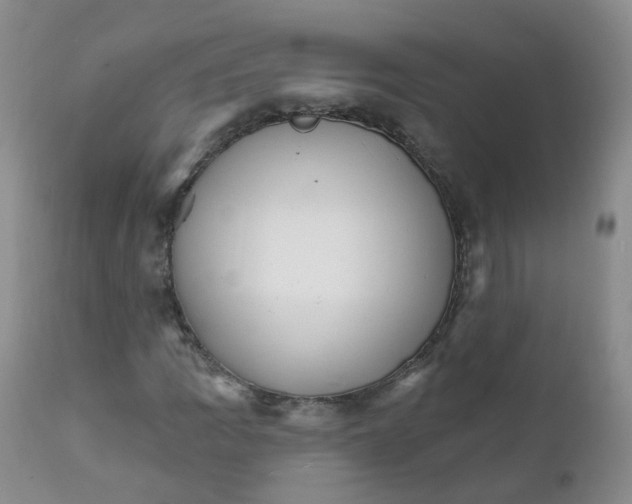 X0000111931109200908241109