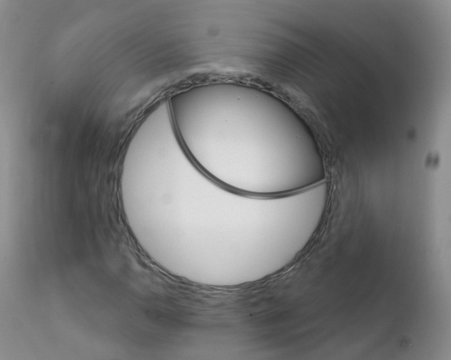 X0000111931110200908241109