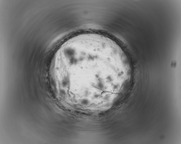 X0000111931112200908241109