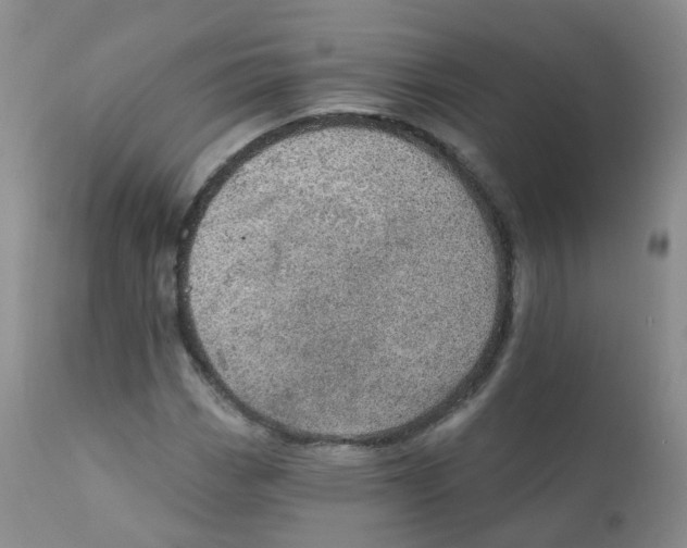 X0000111931113200908241109