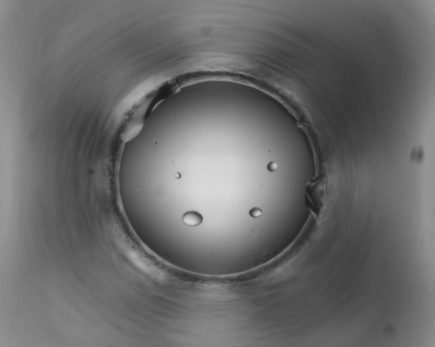 X0000111931114200908241109