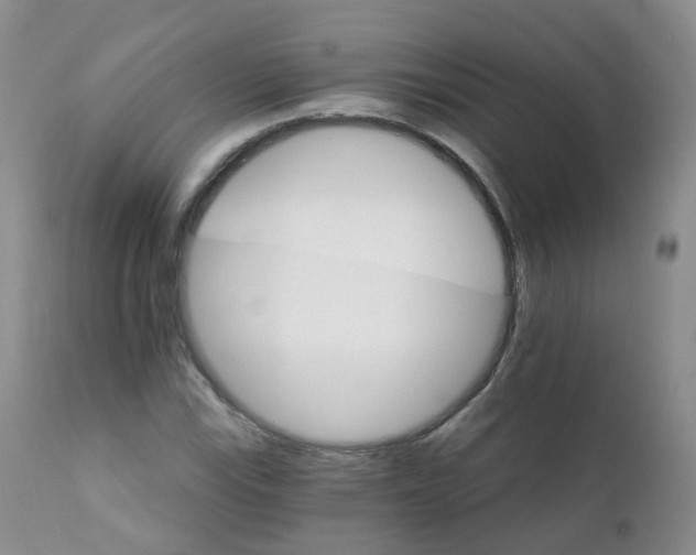 X0000111931115200908241109