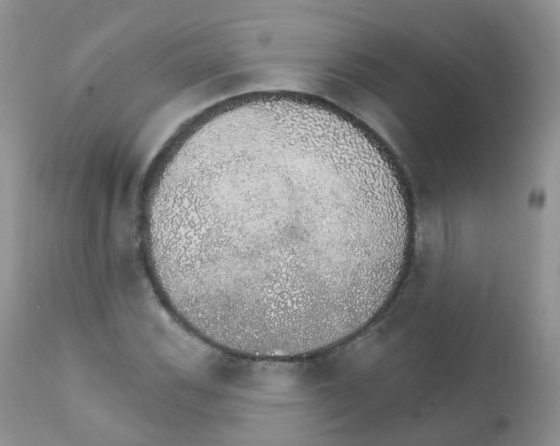 X0000111931116200908241109