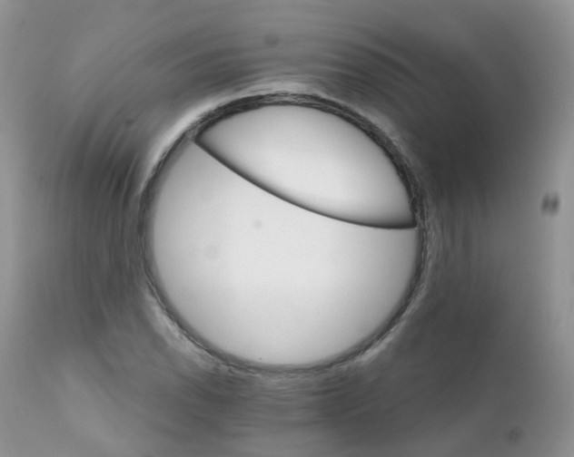 X0000111931118200908241109