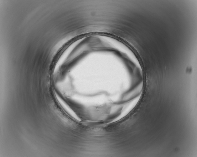 X0000111931119200908241109