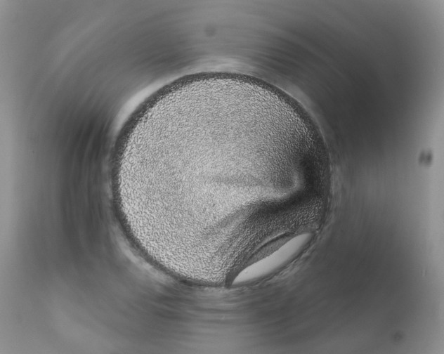 X0000111931120200908241109