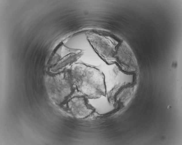 X0000111931121200908241109