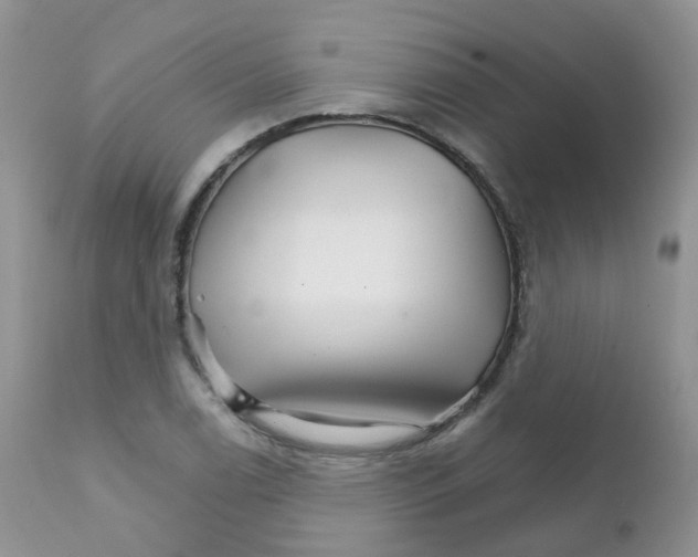 X0000111931122200908241109