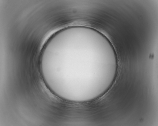 X0000111931123200908241109