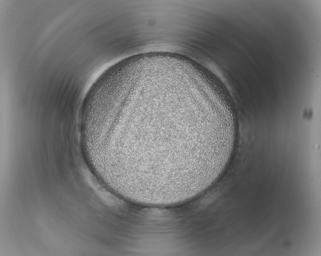 X0000111931124200908241109