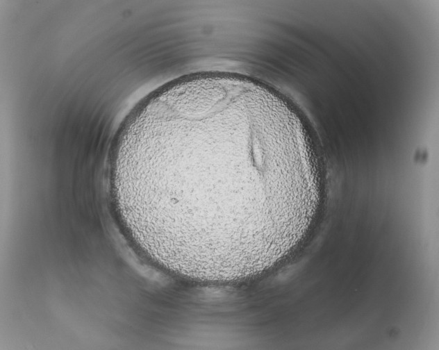 X0000111931125200908241109