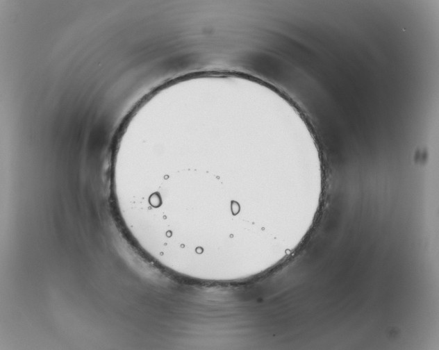 X0000111931126200908241109