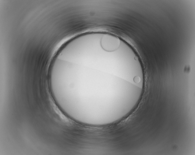 X0000111931127200908241109