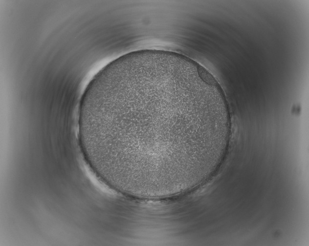 X0000111931128200908241109