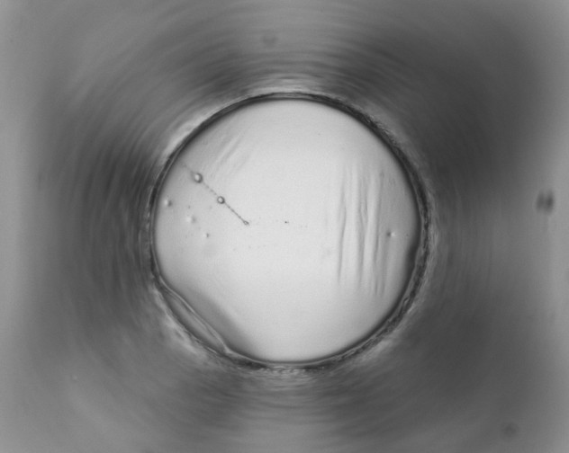 X0000111931129200908241109