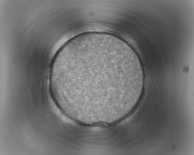 X0000111931130200908241109