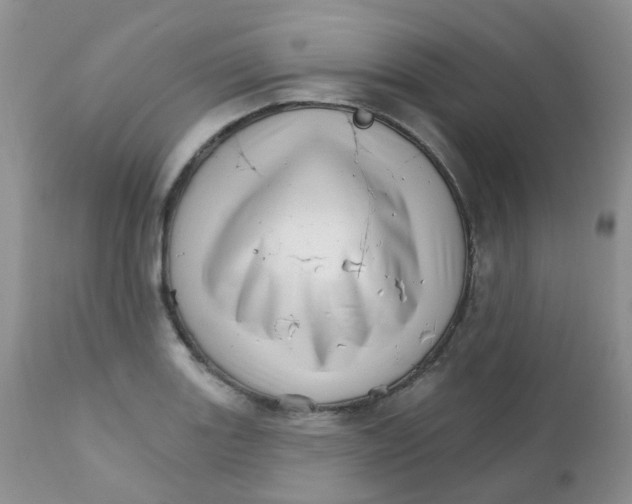 X0000111931131200908241109