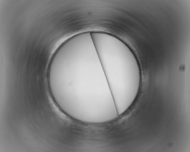 X0000111931133200908241109