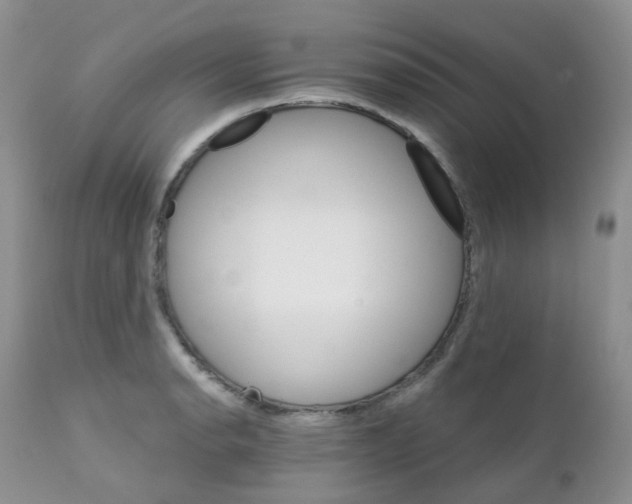 X0000111931134200908241109