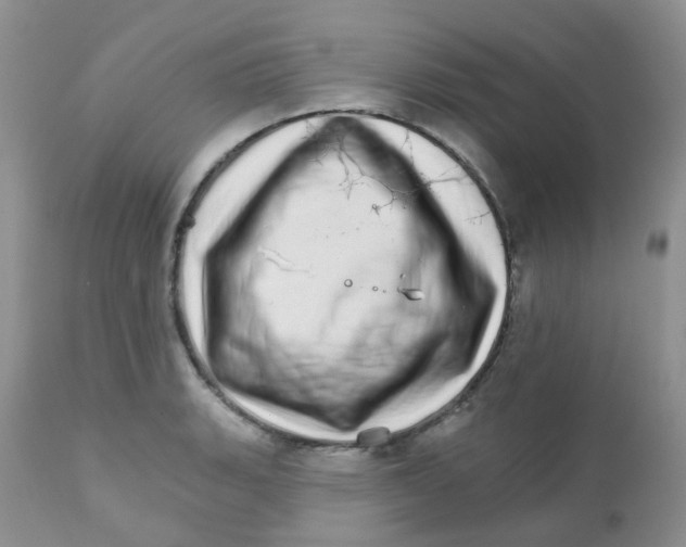 X0000111931135200908241109