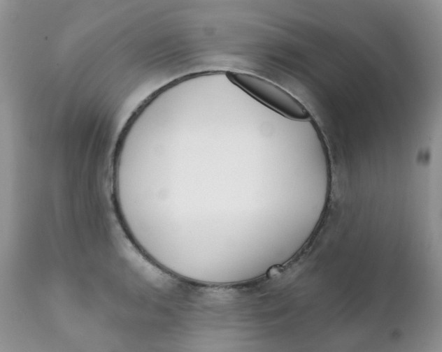 X0000111931136200908241109