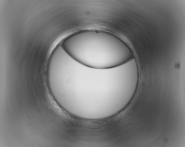 X0000111931138200908241109