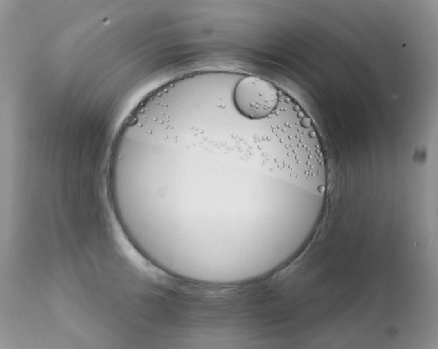 X0000111931139200908241109