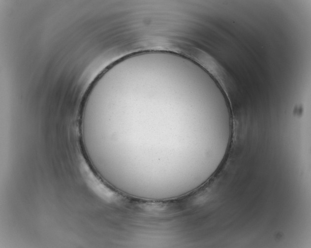 X0000111931141200908241109