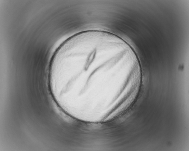 X0000111931144200908241109