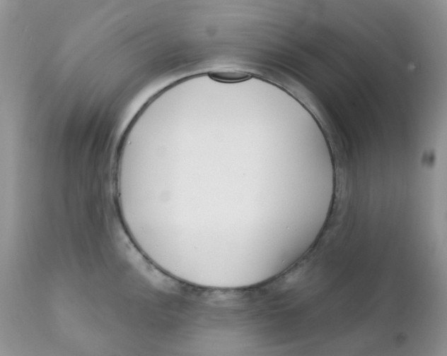 X0000111931148200908241109