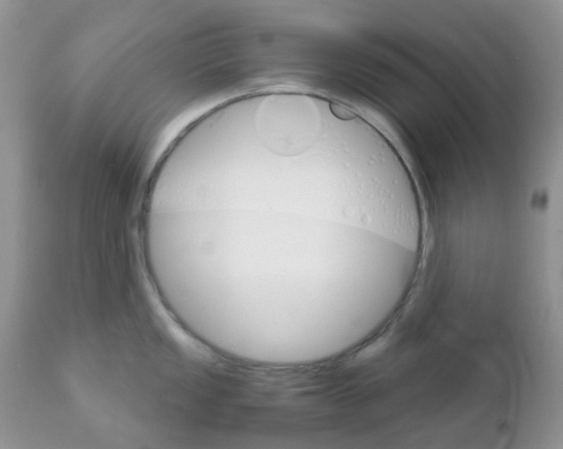 X0000111931149200908241109