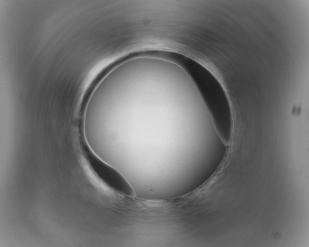 X0000111931152200908241109