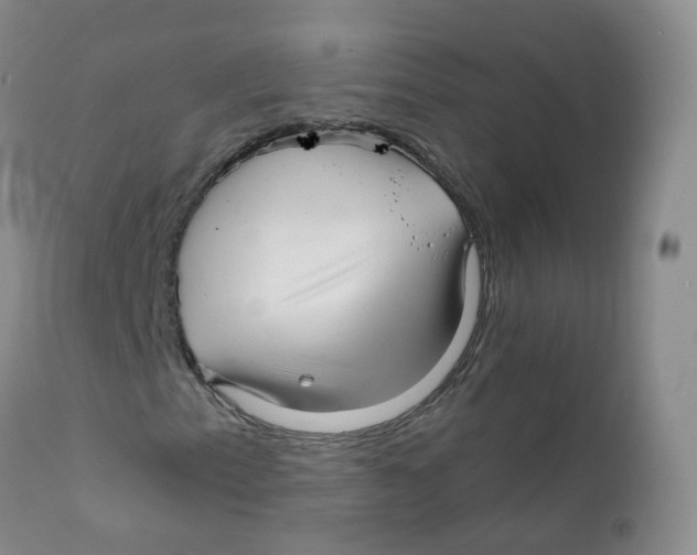 X0000111931153200908241108