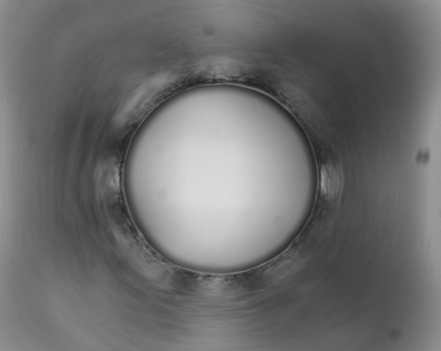 X0000111931155200908241108