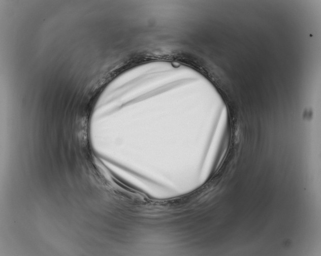 X0000111931156200908241108