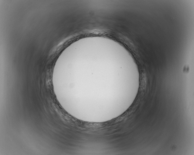 X0000111931158200908241108