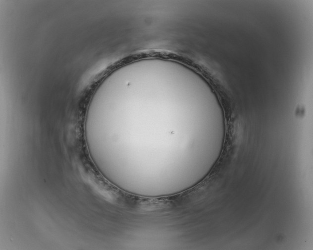 X0000111931159200908241108