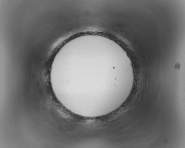 X0000111931160200908241108