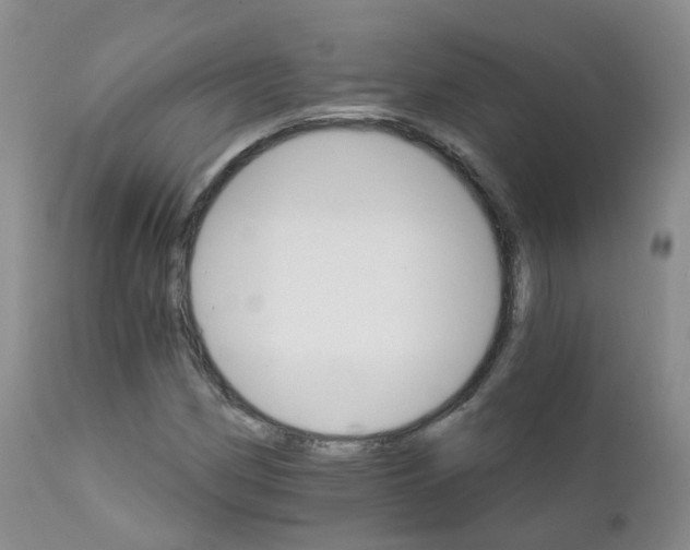 X0000111931162200908241108