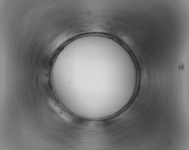 X0000111931163200908241108