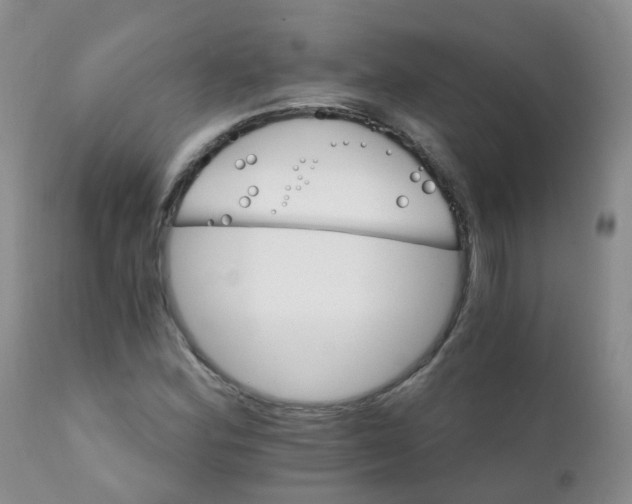 X0000111931164200908241108