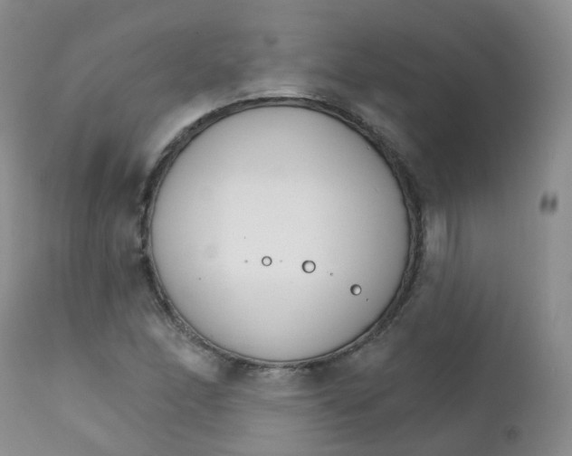 X0000111931166200908241108